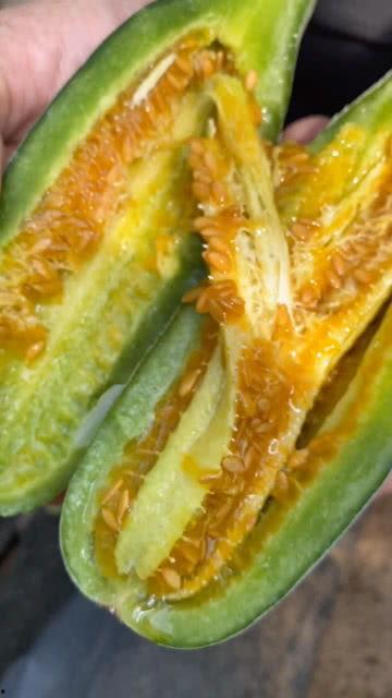 网红小炸串吃瓜视频大全,趣味横生的美食娱乐盛宴 第3张 网红小炸串吃瓜视频大全,趣味横生的美食娱乐盛宴 第3张